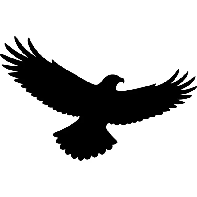 Flying Eagle Silhouette