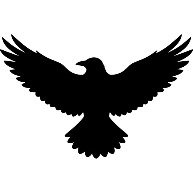 Flying Raven Silhouette
