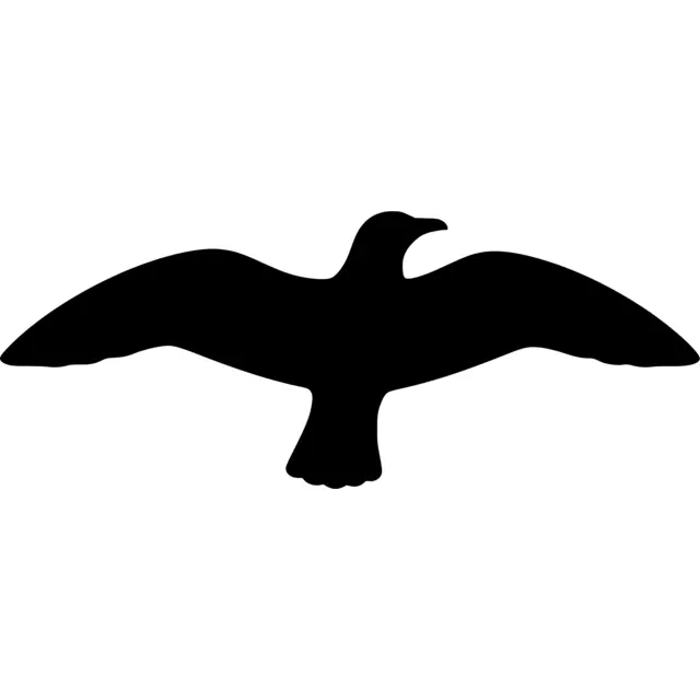 Flying Seagull Silhouette