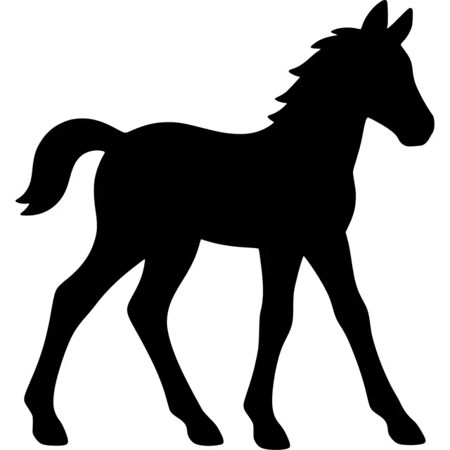 Foal Silhouette