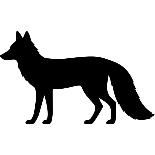 Fox Silhouette