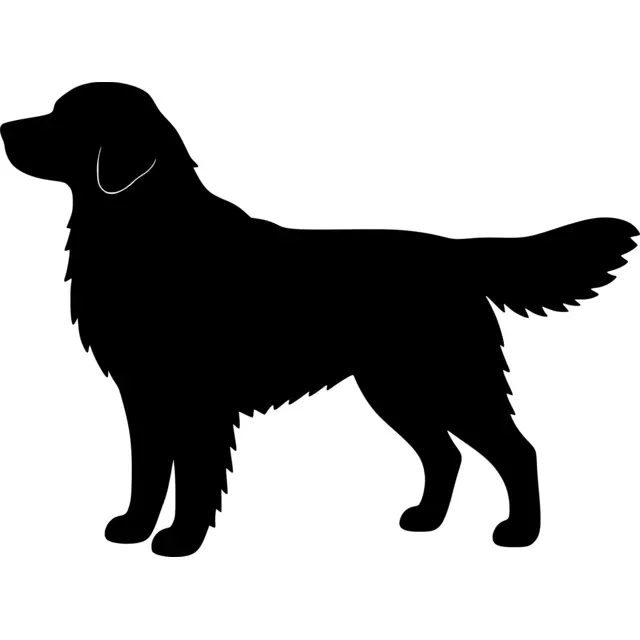 Golden Retriever Silhouette