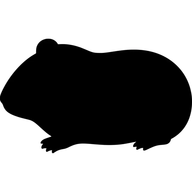 Guinea Pig Silhouette