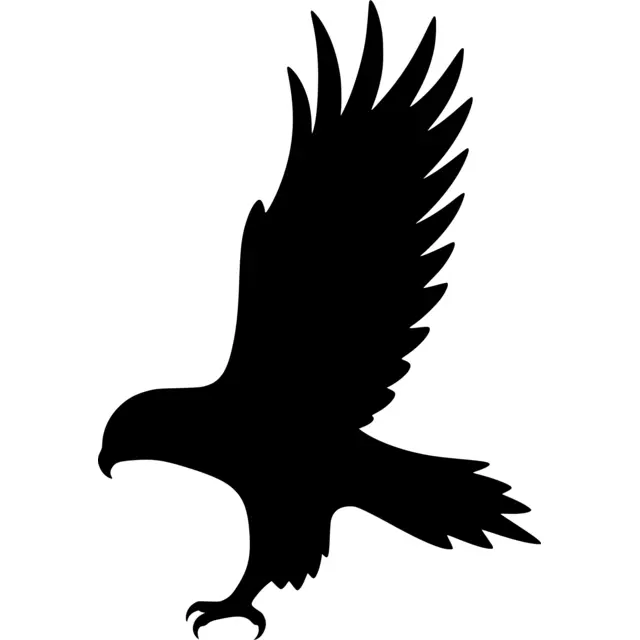 Hawk Silhouette