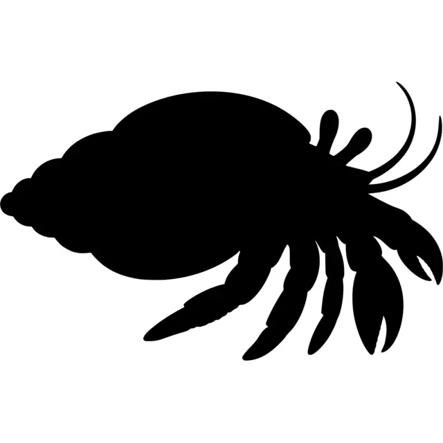 Hermit Crab Silhouette