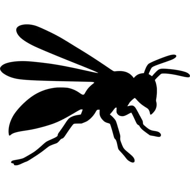 Hornet Silhouette