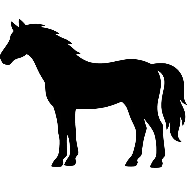 Horse Silhouette