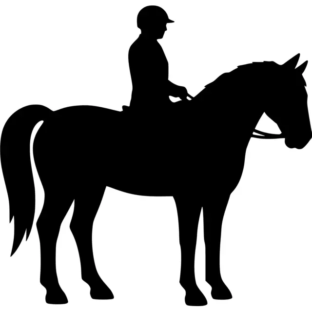 Horse And Rider Silhouette