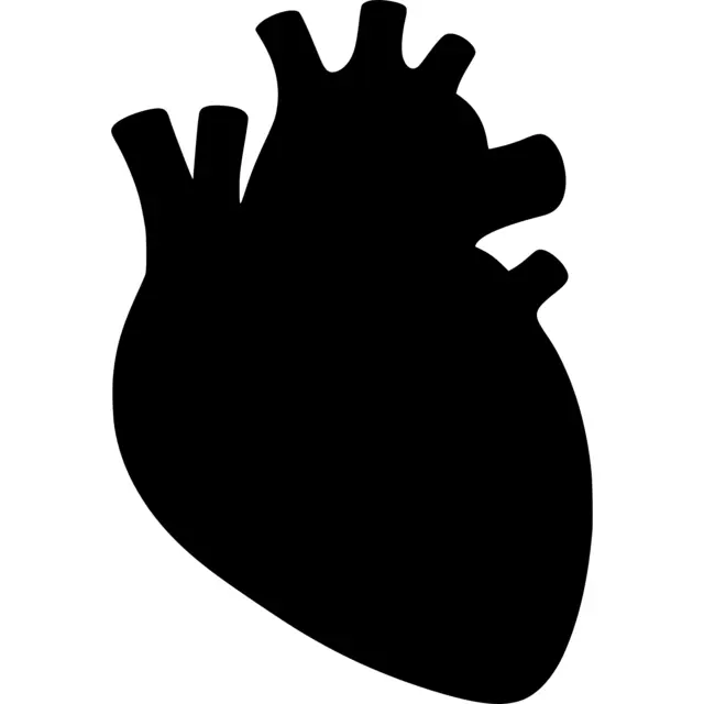 Human Heart Silhouette