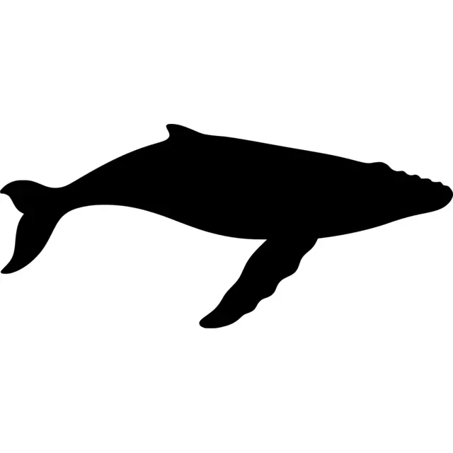 Humpback Whale Silhouette