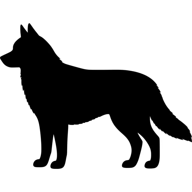 Husky Silhouette