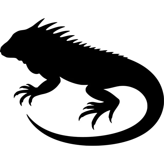 Iguana Silhouette