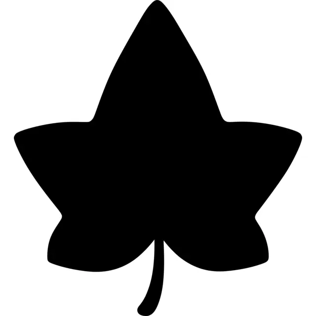 Ivy Leaf Silhouette
