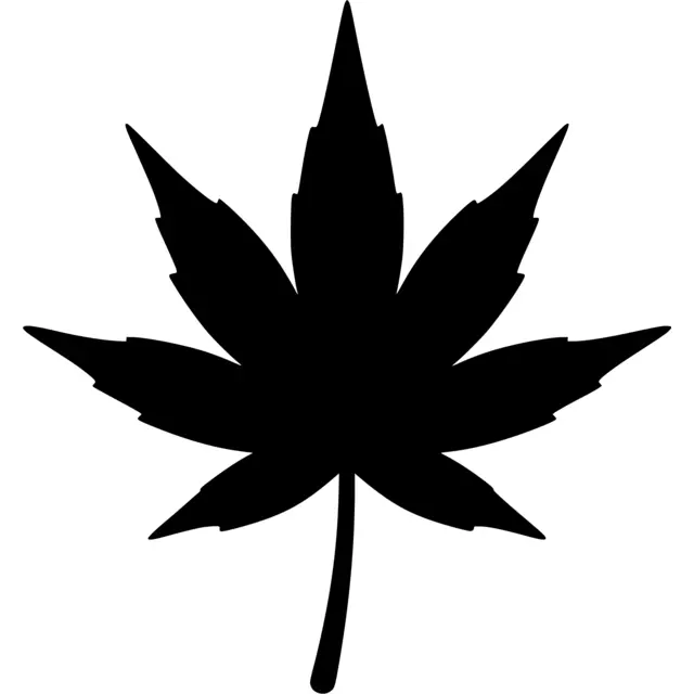 Japanese Maple Leaf Silhouette