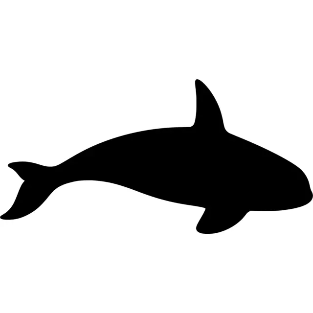 Killer Whale Silhouette
