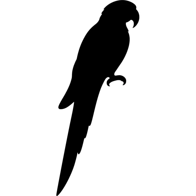 Macaw Silhouette