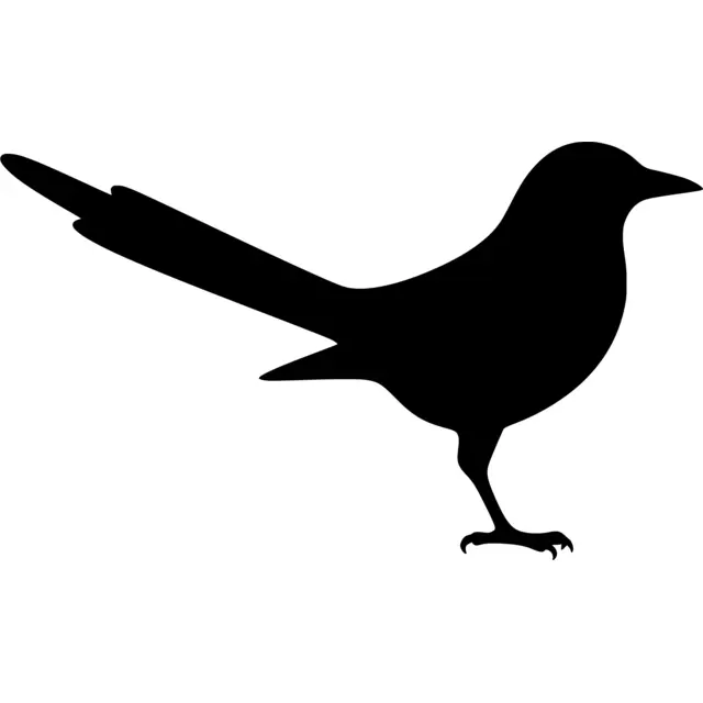 Magpie Silhouette