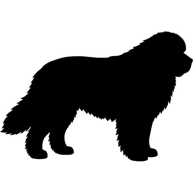 Newfoundland Map Silhouette