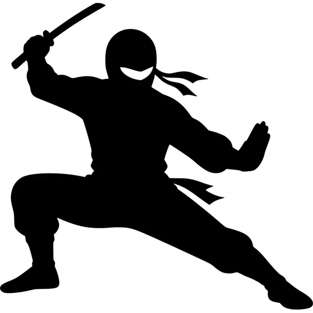 Ninja Silhouette