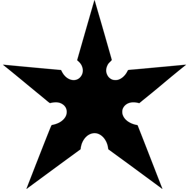 Ninja Star Silhouette