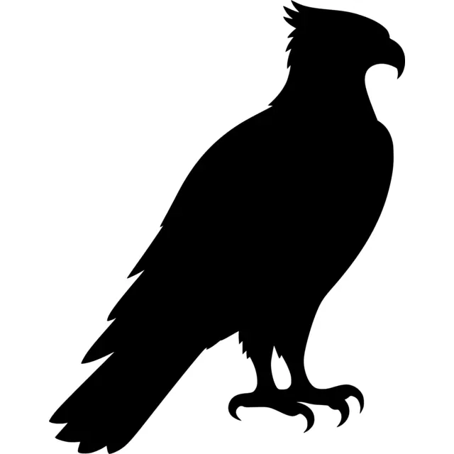 Osprey Silhouette