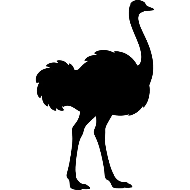 Ostrich Silhouette