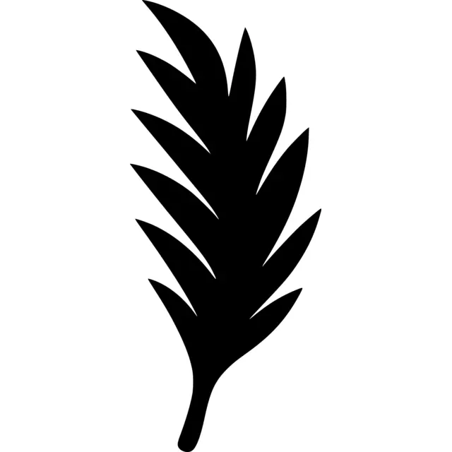 Palm Leaf Silhouette