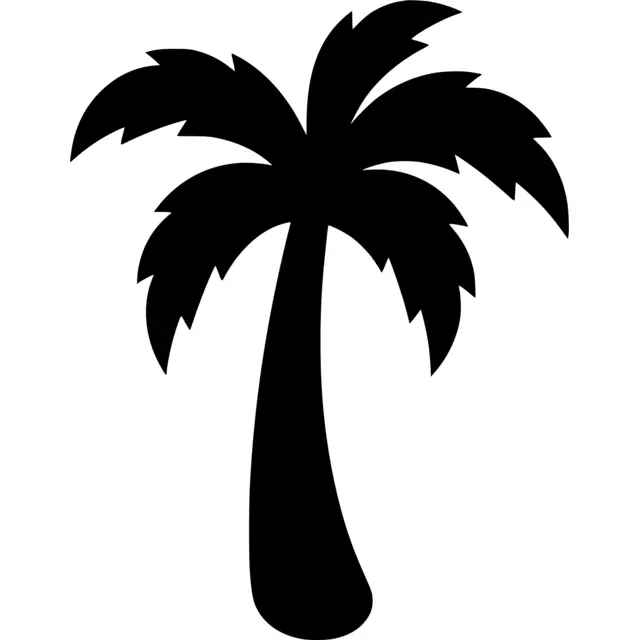 Palm Tree Silhouette