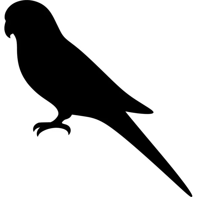 Parakeet Silhouette