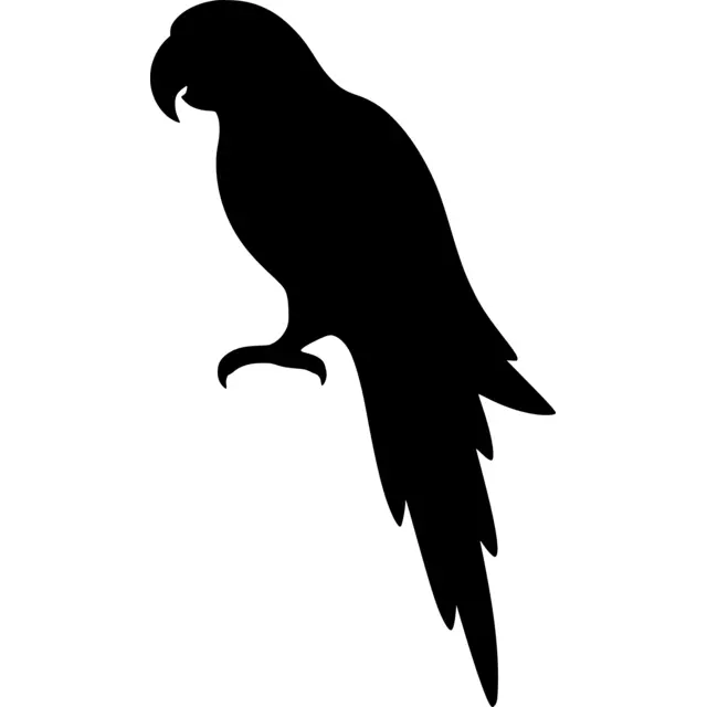 Parrot Silhouette