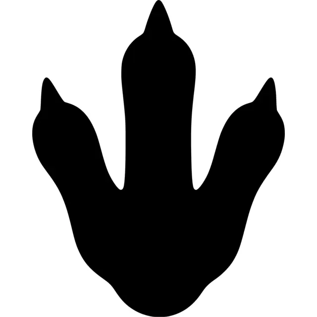 Penguin Footprint Silhouette