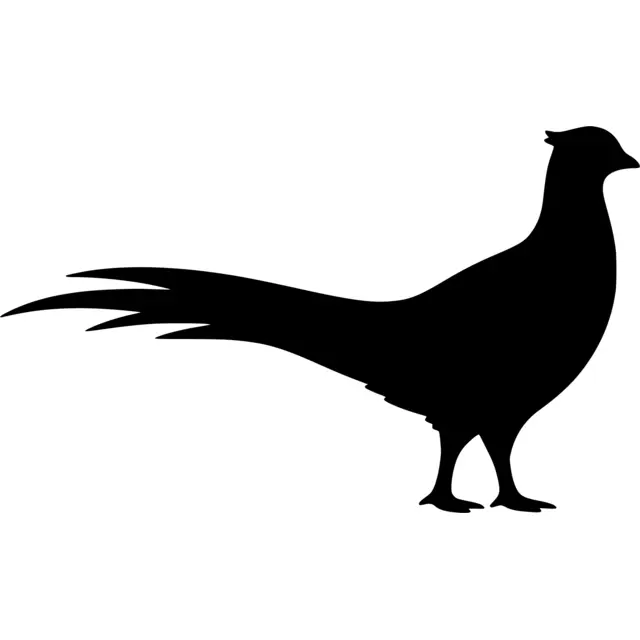 Pheasant Silhouette