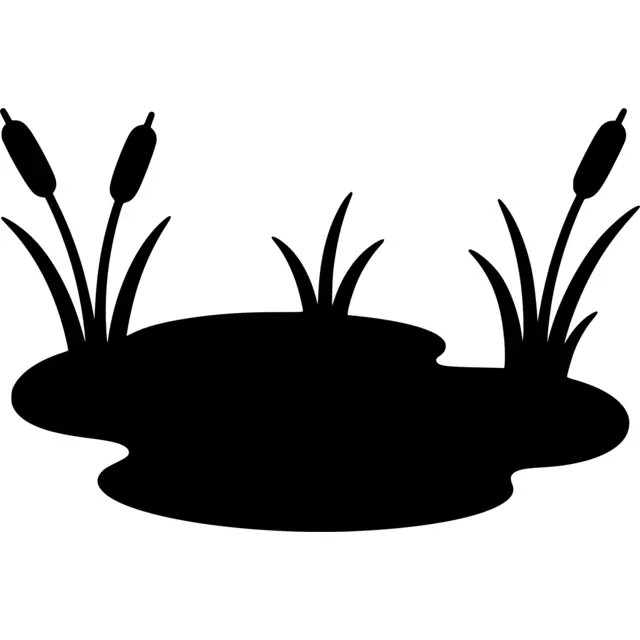 Pond Silhouette