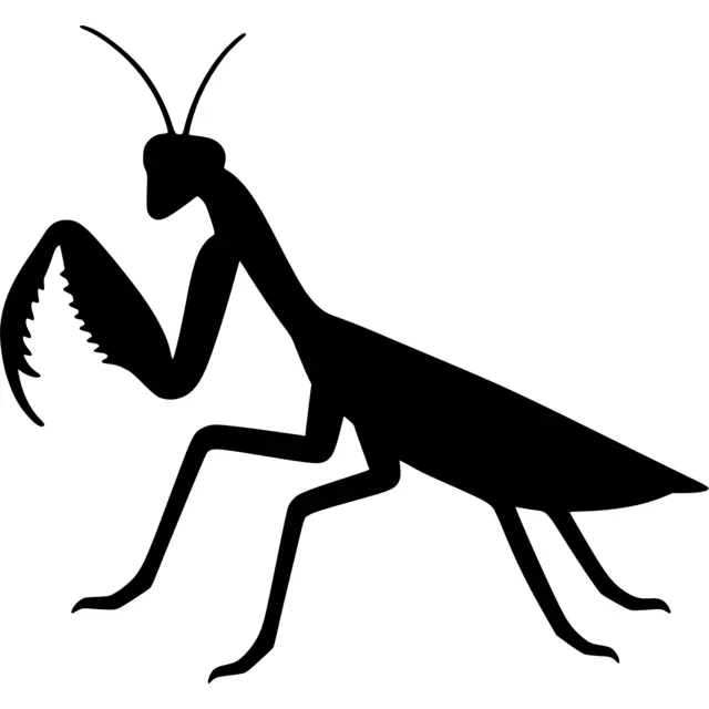 Praying Mantis Silhouette