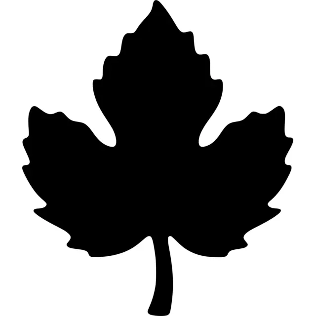 Pumpkin Leaf Silhouette