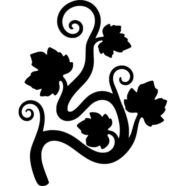 Pumpkin Vine Silhouette
