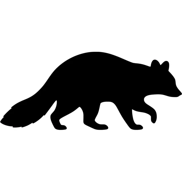 Raccoon Silhouette
