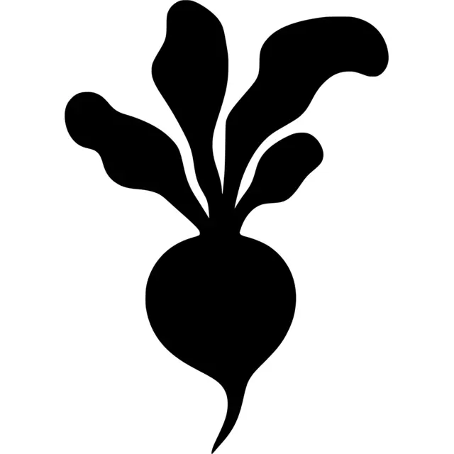 Radish Silhouette