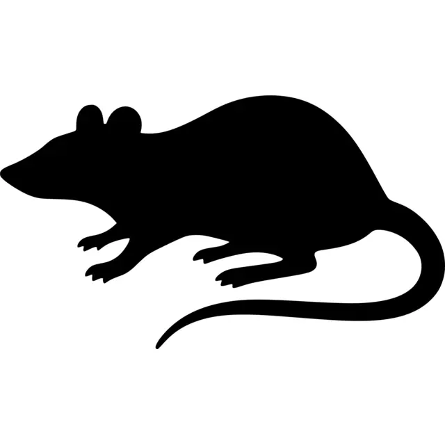 Rat Silhouette