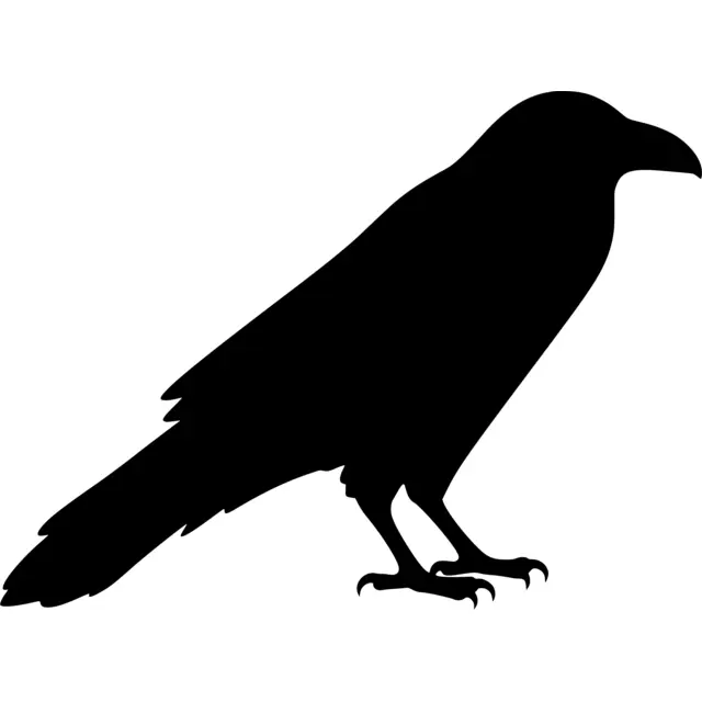 Raven Silhouette