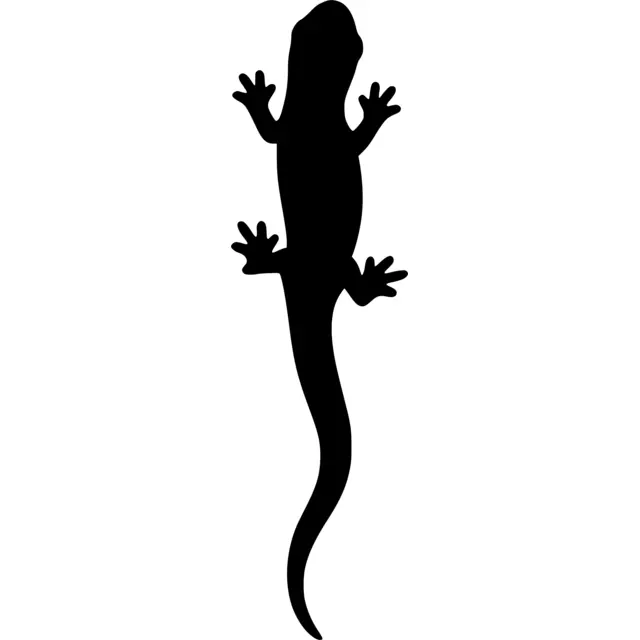 Salamander Silhouette