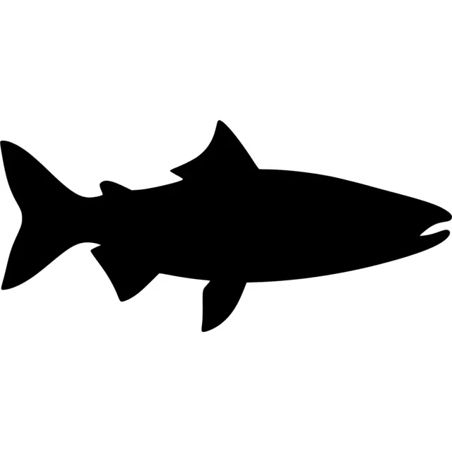 Salmon Silhouette