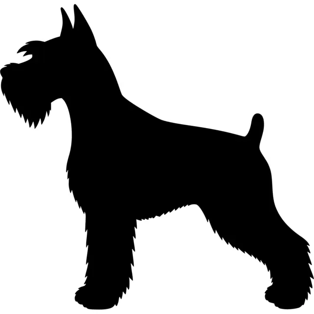 Schnauzer Silhouette