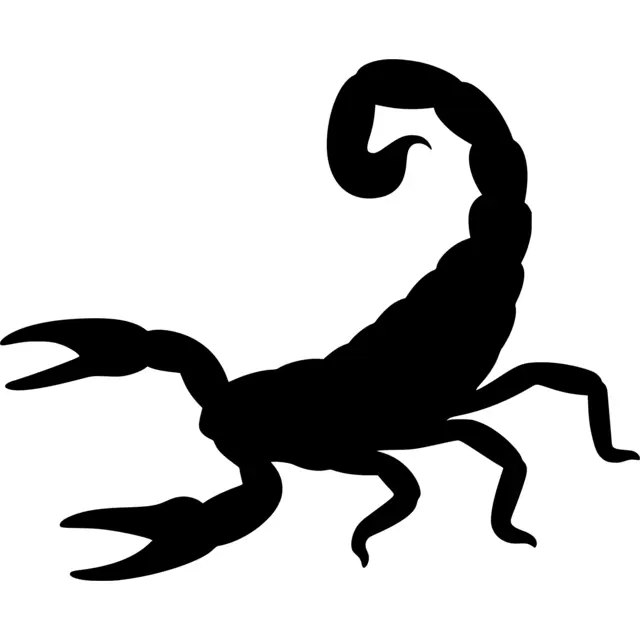 Scorpion Silhouette