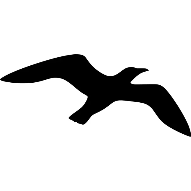 Seagull Silhouette
