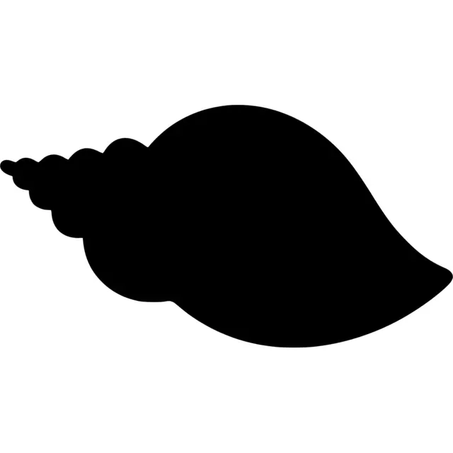 Seashell Silhouette