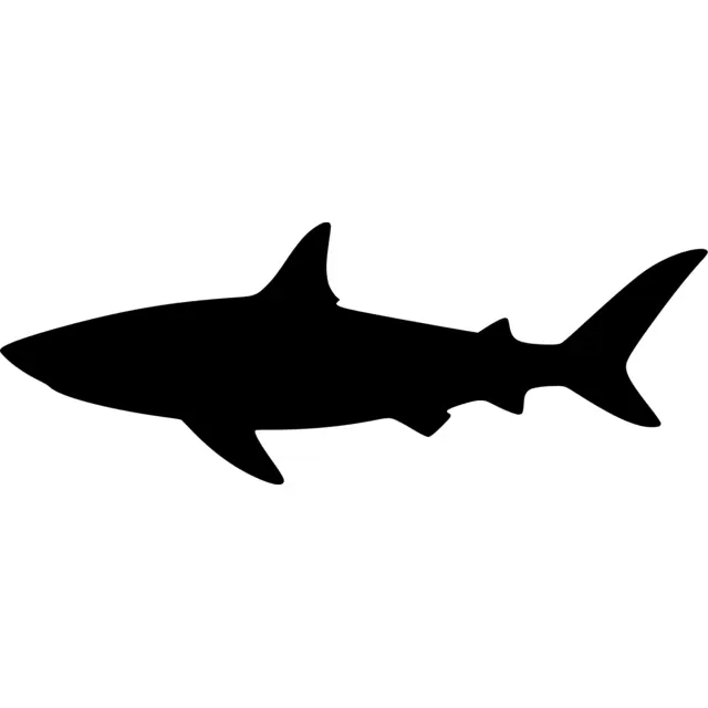 Shark Silhouette