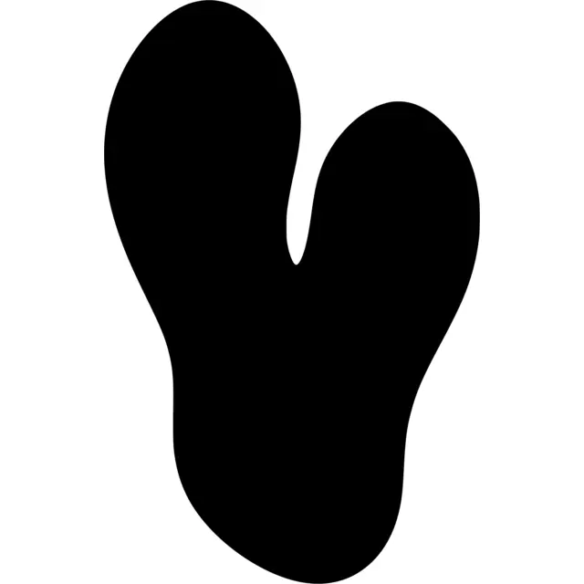 Shoe Print Silhouette