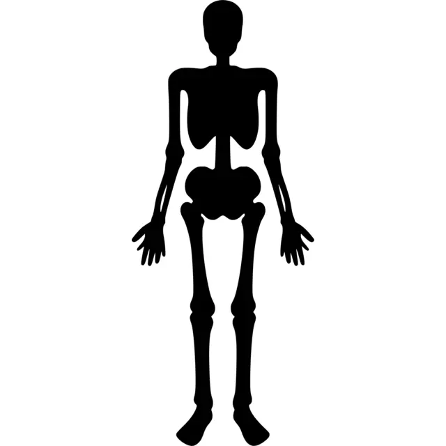 Skeleton Silhouette
