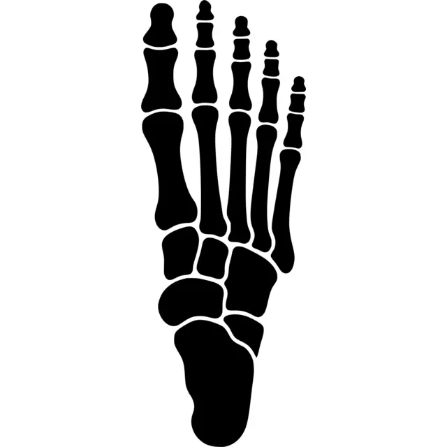 Skeleton Foot Silhouette